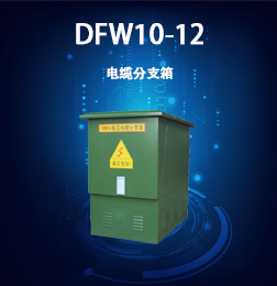 DFW10-12電纜分支箱